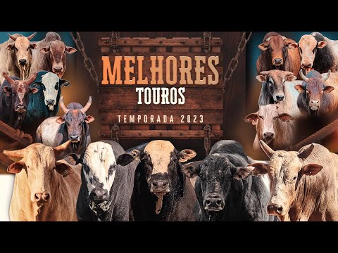 OS 15 MELHORES TOUROS DO BRASIL | TEMPORADA 2023
