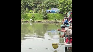 Câu cá chép hồ câu Bảo Trân - Bình Dương #shorts