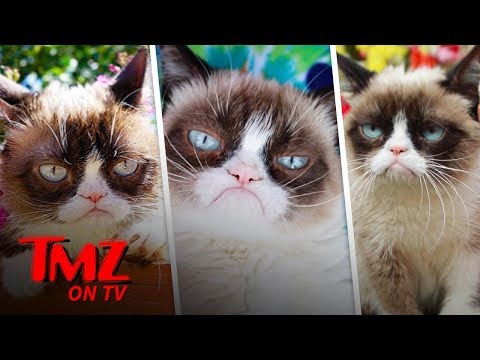 Grumpy Cat Has Died | TMZ TV