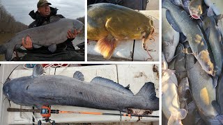 I Caught 100 Catfish!!! Insane Fishing Challenge &amp; How to Catch BIG Catfish in the Winter