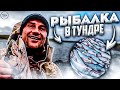 ЧУМОВАЯ РЫБАЛКА в ТУНДРЕ. Здесь упал Метеорит.