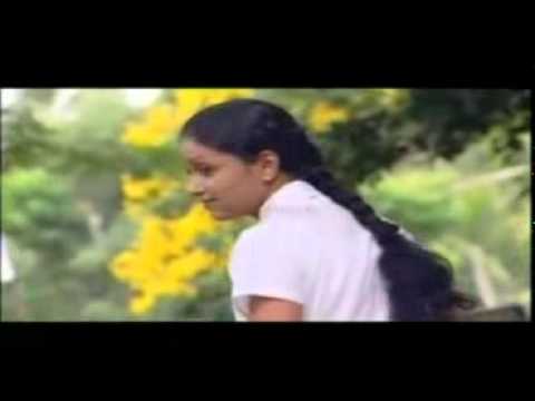 sudu pata gaume adaraya bedune video sudu pata gaume adaraya bedune video