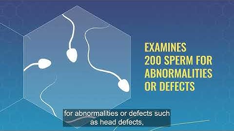 Do you know what happens to your semen sample?