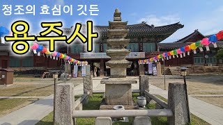 부처님 오신날을 앞둔 용주사 (Buddha's Birthday, Korean temple.)