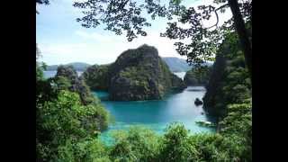 Devastated Dreams Dev Diary 23: Philippines Slideshow