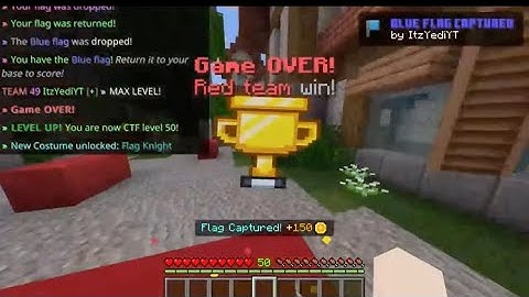 The Hive: Capture The Flag MAX LEVEL