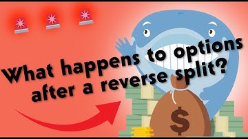 What Happens to my Options After a Reverse Split?