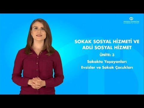 SOKAK SOSYAL HİZMETİ VE ADLİ SOSYAL HİZMET - Ünite 3 Özet