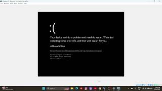 Windows 11 Has BSOD VM PT7