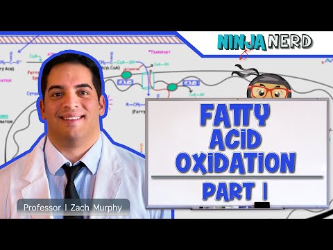 متابولیسم | اکسیداسیون اسیدهای چرب: قسمت 1