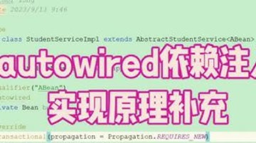 Autowired注解依赖注入补充 介绍通过Qualified注解指定bean名称依赖，以及通过泛型推断bean依赖注入底层是如何实现的#编程 #程序员 #java #知识分享 #软件开发