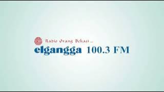 Jingle Radio Elgangga 100.3 FM Versi Jernih