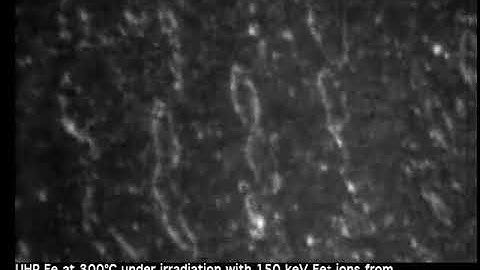 Evolution of Dislocation Loops during Irradiation