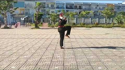 vothuatnamvietbaclieu : Tiểu Học Nguyễn Thị Định