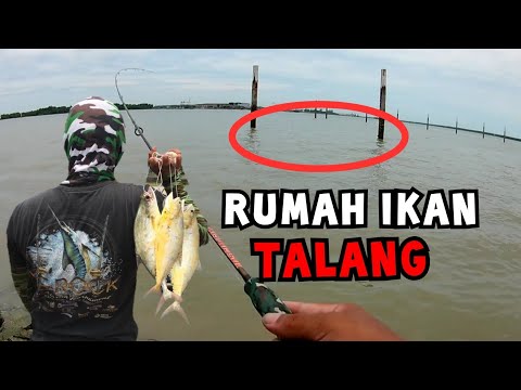 Video: Tanjung Harapan