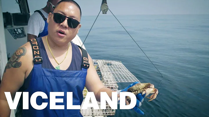 New England's Main Catch: Fishing in Cape Cod with...