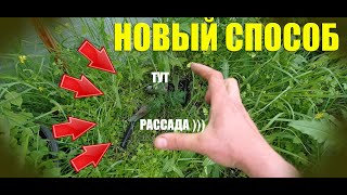 💥НОВЫЙ СПОСОБ💥 ПОСАДКИ РАССАДЫ ☢ В ЗАЩИТНЫЕ ПОЛЯНКИ ☢