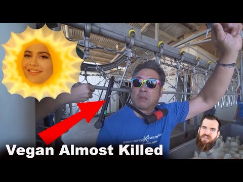 Vegan Protestor Almost Decapitated, Kylie Jenner Sues Aussie and Pole Dancing For Kids Outrage