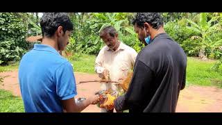 Collection of honey & resetting the hive on the tree, Namma Kuteera, Agrar Bantwal (2)