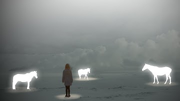 Glowing Deer Manipulation Deer Effect in Photoshop [Photoshop Tutorials In 2022