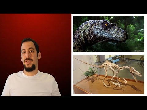Popüler Dinozor Türü Raptor Gerçekte Nasıl Bir Dinozordu?