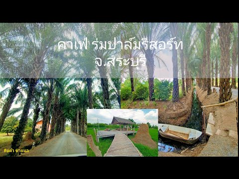 EP.5 คาเฟ่ ร่มปาล์มรีสอร์ท สระบุรี