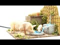 Video: Porcilaia con due maiali alla fontana con doppio movimento cm 15,3x15,2x11,7 h