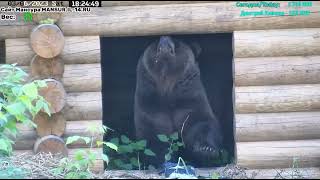 03.06.2023     18:21    Проверка своего Дома. Мансур /  Checking your House. Mansour