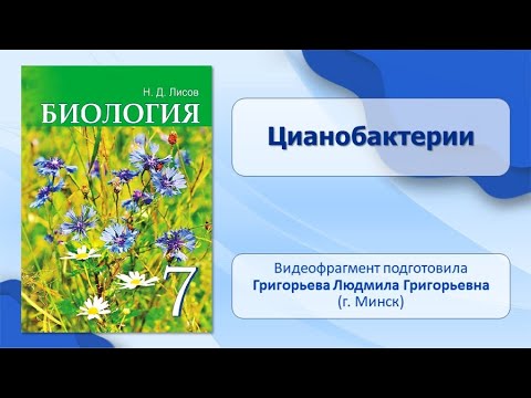 Бактерии. Тема 4. Цианобактерии