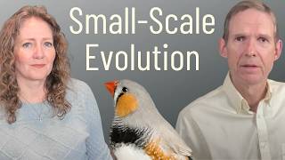 Small-Scale Evolution:  Weirdly Religious Evolution Argument