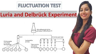 FLUCTUATION TEST I Luria and Delbrück experiment I Induced and Spontaneous Mutation I Molecular Bio