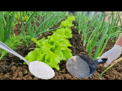 Video: Co je potašové hnojivo?