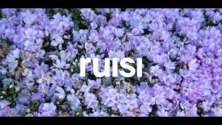 RUISI & 35 Bathurst Street, Wakeley