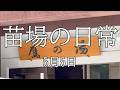 （565）苗場ひとり暮らし　5月5日