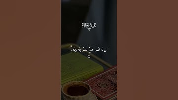 ايه الكرسي ماهر المعيقلي #قران #ماهرالمعيقلي  #quran #قران_كريم #تلاوة_خاشعة