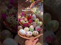 Easter ആശംസകൾ #balcony #gardening #balconydesignideas #love #garden #diybalcony #home #easterdecor