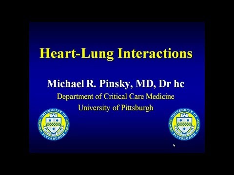 Herz Lungen Interaktion