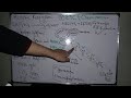 ETC and Chemiosmosis| Ch 7| Class 11 New Biology