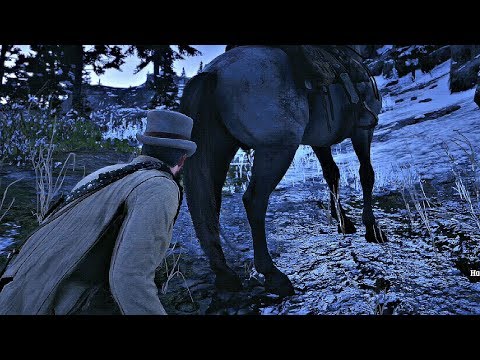 Red Dead Redemption 2 - Shrinking Horse Balls