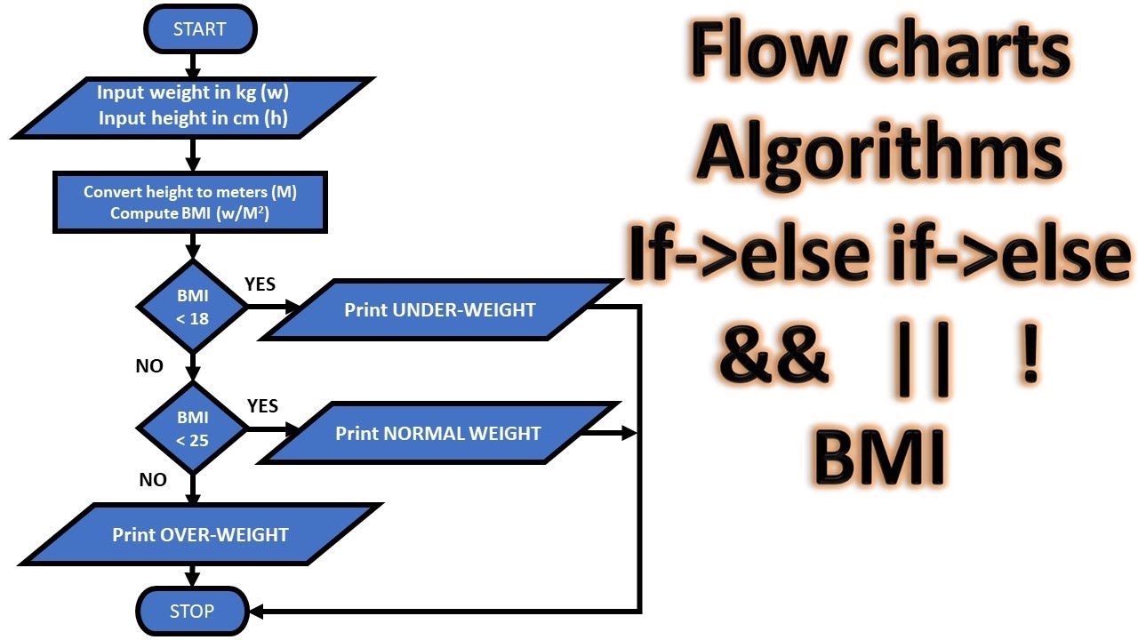 flowchart-algorithm-bmi-weight-classification-if-condition-c-program-youtube