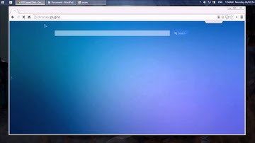 Google Chrome ( Old Version ) Plug-ins ___ Enable or disable Adobe Flash Player