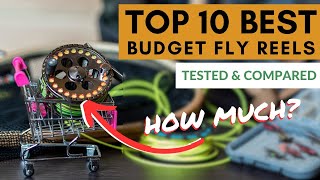 10 Best Budget Fly Reels (Reviewed & Compared)