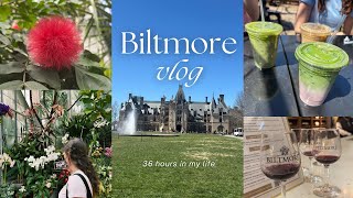 Travel Vlog  ₊˚.⋆ 36 hours in Asheville