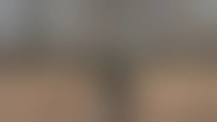 M-14 vs CETME C vs FAL vs G3