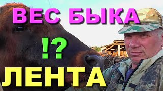 Как перекупы покупают мясо у бедных селян в деревне Бажениты