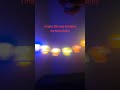rubber duck light strand