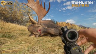 THEHUNTER COTW #51 NOUVELLE CHASSE À L'ARBALÈTE ET À LA CARABINE À PLOMB AIR COMPRIMÉ screenshot 2