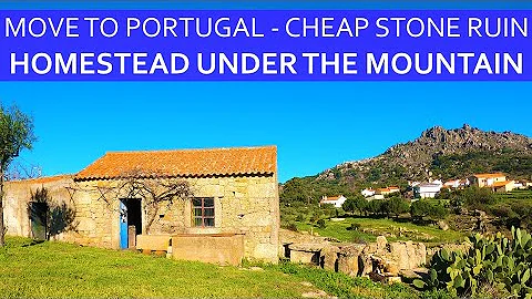 2 CHEAP PROPERTIES FOR SALE IN CENTRAL PORTUGAL - ...