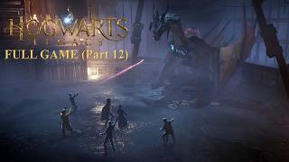 Hogwarts Legacy Longplay Walkthrough (Part 12) – In the Shadow of the Study, Fire and Vice