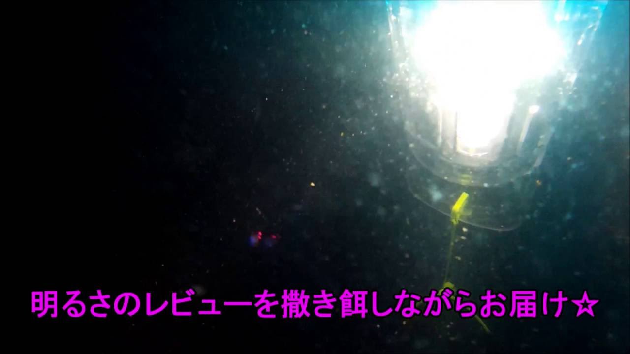 ハピソン Hapyson 水中集魚灯で撒き餌してみた結果 Youtube ハピソン Hapyson 水中集魚灯で撒き餌してみた結果 Youtube